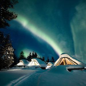 Wilderness Hotel Muotka & Igloos